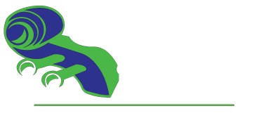 Gratiot County Strings
